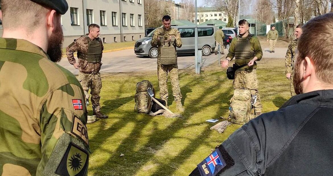 Ісландія приєднується до ІТ-коаліції та Коаліції з розмінування