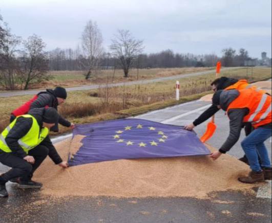 Розслідування інциденту з зерном: Польська прокуратура взялася за справу