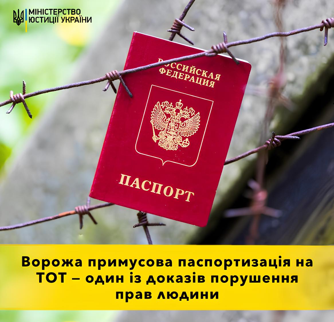 Українці, які примусово отримали російський паспорт, не нестимуть відповідальності – Мін’юст